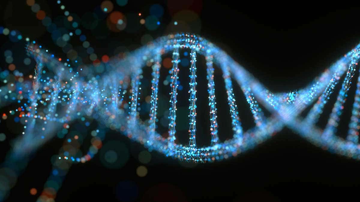 Ikatan Hidrogen Pada DNA